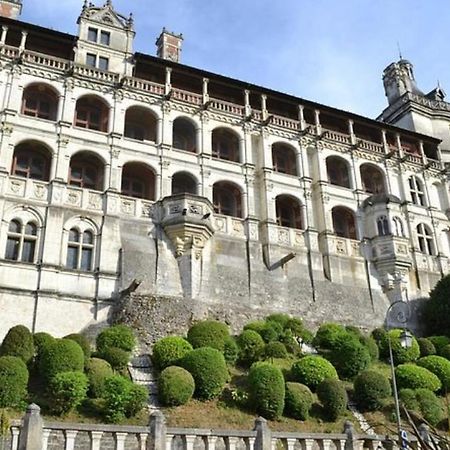 Appartement Coeur De Blois /Heart Of The City المظهر الخارجي الصورة