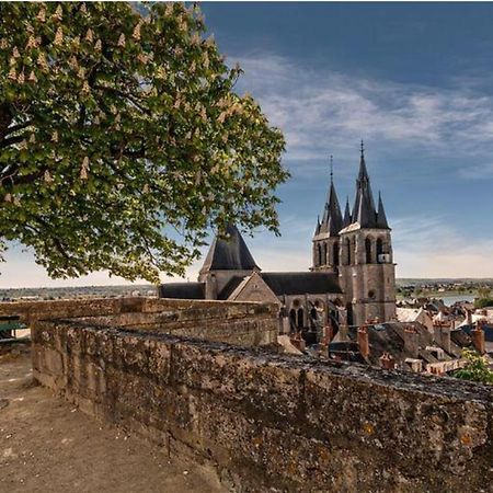 Appartement Coeur De Blois /Heart Of The City المظهر الخارجي الصورة